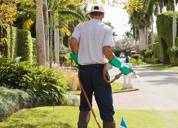 About Hartland VT Pest Control